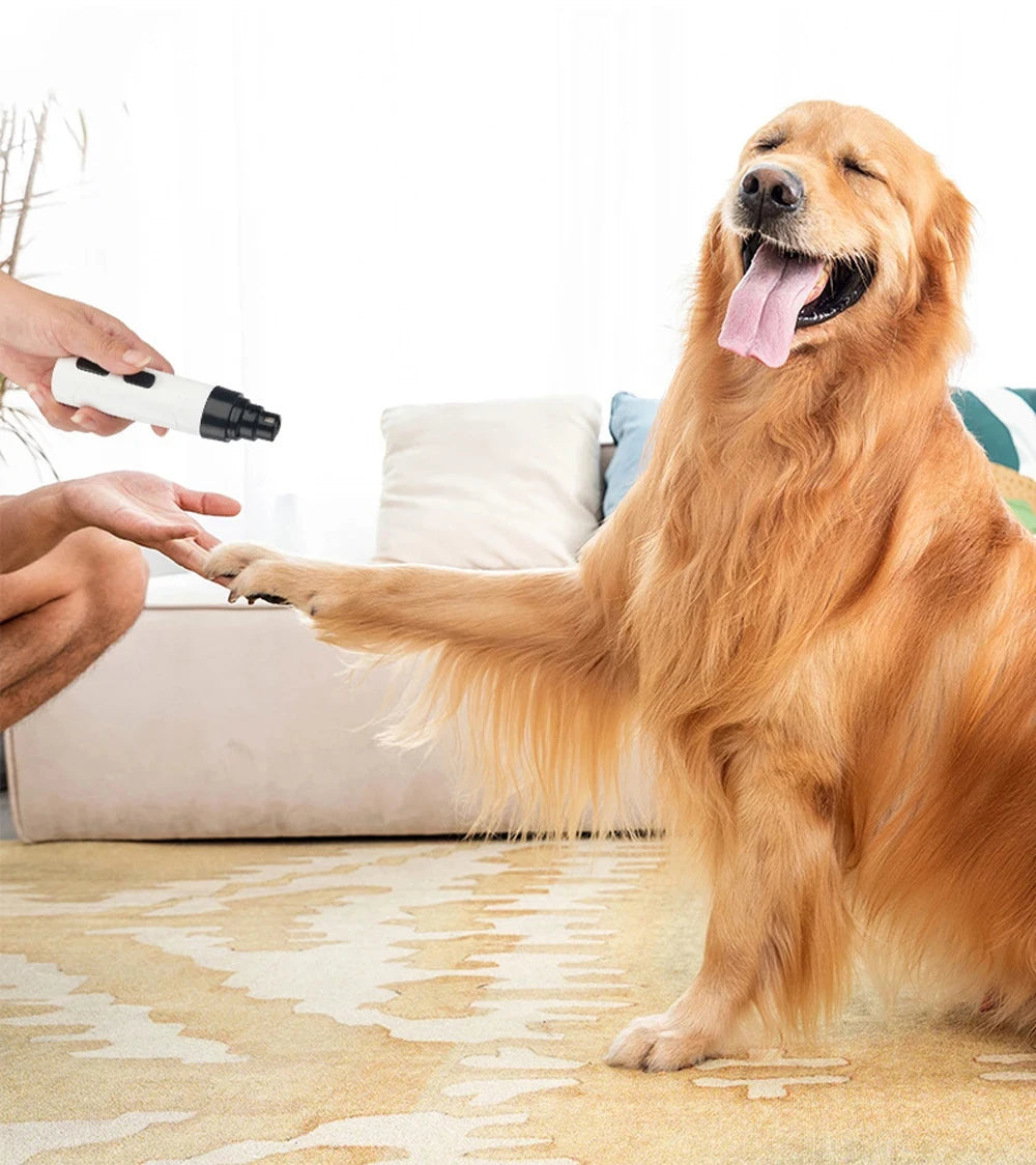 Painless Dog’s Nail Grinder