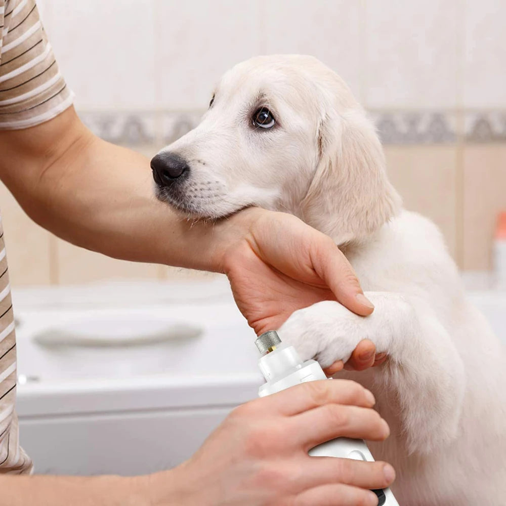 Painless Dog’s Nail Grinder
